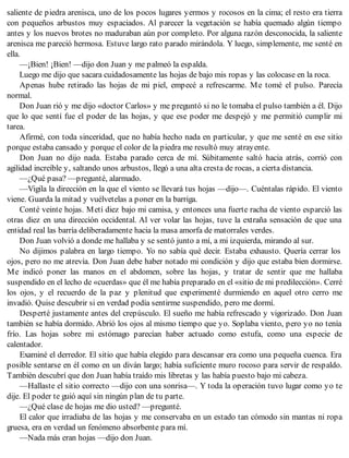 saliente de piedra arenisca, uno de los pocos lugares yermos y rocosos en la cima; el resto era tierra
con pequeños arbustos muy espaciados. Al parecer la vegetación se había quemado algún tiempo
antes y los nuevos brotes no maduraban aún por completo. Por alguna razón desconocida, la saliente
arenisca me pareció hermosa. Estuve largo rato parado mirándola. Y luego, simplemente, me senté en
ella.
—¡Bien! ¡Bien! —dijo don Juan y me palmeó la espalda.
Luego me dijo que sacara cuidadosamente las hojas de bajo mis ropas y las colocase en la roca.
Apenas hube retirado las hojas de mi piel, empecé a refrescarme. Me tomé el pulso. Parecía
normal.
Don Juan rió y me dijo «doctor Carlos» y me preguntó si no le tomaba el pulso también a él. Dijo
que lo que sentí fue el poder de las hojas, y que ese poder me despejó y me permitió cumplir mi
tarea.
Afirmé, con toda sinceridad, que no había hecho nada en particular, y que me senté en ese sitio
porque estaba cansado y porque el color de la piedra me resultó muy atrayente.
Don Juan no dijo nada. Estaba parado cerca de mí. Súbitamente saltó hacia atrás, corrió con
agilidad increíble y, saltando unos arbustos, llegó a una alta cresta de rocas, a cierta distancia.
—¿Qué pasa? —pregunté, alarmado.
—Vigila la dirección en la que el viento se llevará tus hojas —dijo—. Cuéntalas rápido. El viento
viene. Guarda la mitad y vuélvetelas a poner en la barriga.
Conté veinte hojas. Metí diez bajo mi camisa, y entonces una fuerte racha de viento esparció las
otras diez en una dirección occidental. Al ver volar las hojas, tuve la extraña sensación de que una
entidad real las barría deliberadamente hacia la masa amorfa de matorrales verdes.
Don Juan volvió a donde me hallaba y se sentó junto a mí, a mi izquierda, mirando al sur.
No dijimos palabra en largo tiempo. Yo no sabía qué decir. Estaba exhausto. Quería cerrar los
ojos, pero no me atrevía. Don Juan debe haber notado mi condición y dijo que estaba bien dormirse.
Me indicó poner las manos en el abdomen, sobre las hojas, y tratar de sentir que me hallaba
suspendido en el lecho de «cuerdas» que él me había preparado en el «sitio de mi predilección». Cerré
los ojos, y el recuerdo de la paz y plenitud que experimenté durmiendo en aquel otro cerro me
invadió. Quise descubrir si en verdad podía sentirme suspendido, pero me dormí.
Desperté justamente antes del crepúsculo. El sueño me había refrescado y vigorizado. Don Juan
también se había dormido. Abrió los ojos al mismo tiempo que yo. Soplaba viento, pero yo no tenía
frío. Las hojas sobre mi estómago parecían haber actuado como estufa, como una especie de
calentador.
Examiné el derredor. El sitio que había elegido para descansar era como una pequeña cuenca. Era
posible sentarse en él como en un diván largo; había suficiente muro rocoso para servir de respaldo.
También descubrí que don Juan había traído mis libretas y las había puesto bajo mi cabeza.
—Hallaste el sitio correcto —dijo con una sonrisa—. Y toda la operación tuvo lugar como yo te
dije. El poder te guió aquí sin ningún plan de tu parte.
—¿Qué clase de hojas me dio usted? —pregunté.
El calor que irradiaba de las hojas y me conservaba en un estado tan cómodo sin mantas ni ropa
gruesa, era en verdad un fenómeno absorbente para mí.
—Nada más eran hojas —dijo don Juan.
 