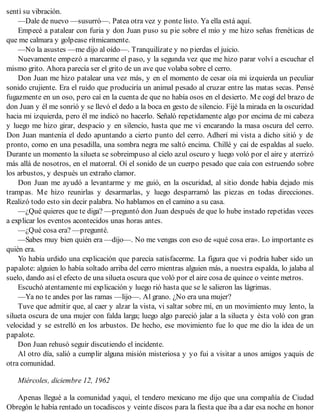 sentí su vibración.
—Dale de nuevo —susurró—. Patea otra vez y ponte listo. Ya ella está aquí.
Empecé a patalear con furia y don Juan puso su pie sobre el mío y me hizo señas frenéticas de
que me calmara y golpease rítmicamente.
—No la asustes —me dijo al oído—. Tranquilízate y no pierdas el juicio.
Nuevamente empezó a marcarme el paso, y la segunda vez que me hizo parar volví a escuchar el
mismo grito. Ahora parecía ser el grito de un ave que volaba sobre el cerro.
Don Juan me hizo patalear una vez más, y en el momento de cesar oía mi izquierda un peculiar
sonido crujiente. Era el ruido que produciría un animal pesado al cruzar entre las matas secas. Pensé
fugazmente en un oso, pero caí en la cuenta de que no había osos en el desierto. Me cogí del brazo de
don Juan y él me sonrió y se llevó el dedo a la boca en gesto de silencio. Fijé la mirada en la oscuridad
hacia mi izquierda, pero él me indicó no hacerlo. Señaló repetidamente algo por encima de mi cabeza
y luego me hizo girar, despacio y en silencio, hasta que me vi encarando la masa oscura del cerro.
Don Juan mantenía el dedo apuntando a cierto punto del cerro. Adherí mi vista a dicho sitió y de
pronto, como en una pesadilla, una sombra negra me saltó encima. Chillé y caí de espaldas al suelo.
Durante un momento la silueta se sobreimpuso al cielo azul oscuro y luego voló por el aire y aterrizó
más allá de nosotros, en el matorral. Oí el sonido de un cuerpo pesado que caía con estruendo sobre
los arbustos, y después un extraño clamor.
Don Juan me ayudó a levantarme y me guió, en la oscuridad, al sitio donde había dejado mis
trampas. Me hizo reunirlas y desarmarlas, y luego desparramó las piezas en todas direcciones.
Realizó todo esto sin decir palabra. No hablamos en el camino a su casa.
—¿Qué quieres que te diga? —preguntó don Juan después de que lo hube instado repetidas veces
a explicar los eventos acontecidos unas horas antes.
—¿Qué cosa era? —pregunté.
—Sabes muy bien quién era —dijo—. No me vengas con eso de «qué cosa era». Lo importante es
quién era.
Yo había urdido una explicación que parecía satisfacerme. La figura que vi podría haber sido un
papalote: alguien lo había soltado arriba del cerro mientras alguien más, a nuestra espalda, lo jalaba al
suelo, dando así el efecto de una silueta oscura que voló por el aire cosa de quince o veinte metros.
Escuchó atentamente mi explicación y luego rió hasta que se le salieron las lágrimas.
—Ya no te andes por las ramas —lijo—. Al grano. ¿No era una mujer?
Tuve que admitir que, al caer y alzar la vista, vi saltar sobre mí, en un movimiento muy lento, la
silueta oscura de una mujer con falda larga; luego algo pareció jalar a la silueta y ésta voló con gran
velocidad y se estrelló en los arbustos. De hecho, ese movimiento fue lo que me dio la idea de un
papalote.
Don Juan rehusó seguir discutiendo el incidente.
Al otro día, salió a cumplir alguna misión misteriosa y yo fui a visitar a unos amigos yaquis de
otra comunidad.
Miércoles, diciembre 12, 1962
Apenas llegué a la comunidad yaqui, el tendero mexicano me dijo que una compañía de Ciudad
Obregón le había rentado un tocadiscos y veinte discos para la fiesta que iba a dar esa noche en honor
 