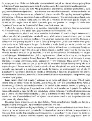 del suelo parecía ser distinta en dicho sitio, pero cuando enfoqué allí los ojos no vi nada que explicase
la diferencia. Parado a corta distancia, traté de «sentir», como don Juan me recomendaba siempre.
Quedé inmóvil cosa de una hora. Mis pensamientos empezaron a disminuir gradualmente, hasta
que ya no hablaba conmigo mismo. Tuve entonces una sensación de molestia. Parecía confinada a mi
estómago y se agudizaba cuando yo enfrentaba el sitio en cuestión. Me repelía y me sentí impelido a
apartarme de él. Empecé a examinar el área con los ojos cruzados, y tras caminar un poco llegué a una
gran roca plana. Me detuve frente a ella. No había en la roca nada en particular que me atrajera. No
detecté en ella ningún color ni brillo específico, pero me gustaba. Mi cuerpo se sentía bien.
Experimenté una sensación de comodidad física y tomé asiento un rato.
Todo el día vagué por la meseta y las montañas circundantes, sin saber qué hacer ni qué esperar.
Al oscurecer volví a la roca plana. Sabía que pasando allí la noche estaría a salvo.
Al día siguiente me adentré más en las montañas, hacia el este. Al atardecer llegué a otra meseta,
todavía más alta. Me pareció haber estado allí antes. Miré en torno para orientarme, pero no pude
reconocer ninguno de los picos circundantes. Tras elegir con cuidado un sitio, me senté a descansar al
borde de un área yerma y rocosa. Allí sentía tibieza y tranquilidad. Quise sacar comida de mi guaje,
pero estaba vacío. Bebí un poco de agua. Estaba tibia y aceda. Pensé que no me quedaba más que
volver a casa de don Juan, y empecé a preguntarme si debería iniciar de una vez mi camino de regreso.
Me acosté bocabajo y apoyé la cabeza en el brazo. Inquieto, cambié varias veces de postura, hasta
hallarme de cara al oeste. El sol ya descendía. Mis ojos estaban cansados. Miré el suelo y vi un gran
escarabajo negro. Salió detrás de una piedra, empujando una bola de estiércol dos veces más grande
que él. Seguí sus movimientos durante largo rato. El insecto parecía ajeno a mi presencia y seguía
empujando su carga sobre rocas, raíces, depresiones y protuberancias. Hasta donde yo sabía, el
escarabajo no se daba cuenta de que yo estaba allí. Se me ocurrió la idea de que yo no podía estar
seguro de que el insecto no tuviera conciencia de mí; esa idea desató una serie de evaluaciones
racionales con respecto a la naturaleza del mundo del insecto, en contraposición con el mío. El
escarabajo y yo estábamos en el mismo mundo, y obviamente el mundo no era el mismo para ambos.
Me concentré en observarlo, maravillado de la fuerza titánica que necesitaba para transportar su carga
por rocas y por grietas.
Largo tiempo observé al insecto, y entonces me di cuenta del silencio en torno. Sólo el viento
silbaba entre las ramas y hojas del matorral. Alcé la vista, me volví a la izquierda en forma rápida e
involuntaria, y alcancé a ver una leve sombra, o un cintilar, sobre una roca cercana. Al principio no
presté atención, pero luego me di cuenta de que el cintilar había estado a mi izquierda. Me volví de
nuevo, súbitamente, y pude percibir con claridad una sombra en la roca. Tuve la extraña sensación de
que la sombra se deslizó inmediatamente al suelo y la tierra la absorbió como un secante chupa una
mancha de tinta. Un escalofrío recorrió mi espalda. Por mi mente cruzó la idea de que la muerte nos
observaba a mí y al escarabajo.
Busqué de nuevo al insecto, pero no pude hallarlo. Pensé que debía haber llegado a su destino y
arrojado su carga a un agujero. Apoyé el rostro contra una roca lisa.
El escarabajo surgió de un hoyo profundo y se detuvo a pocos centímetros de mi cara. Parecía
mirarme, y por un instante sentí que cobraba conciencia de mi presencia, tal vez como yo advertía la
presencia de mi muerte. Experimenté un estremecimiento. El escarabajo y yo no éramos tan distintos,
después de todo. La muerte, como una sombra, nos acechaba a ambos detrás del peñasco. Tuve un
 