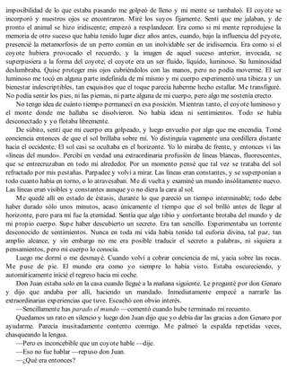 imposibilidad de lo que estaba pasando me golpeó de lleno y mi mente se tambaleó. El coyote se
incorporó y nuestros ojos se encontraron. Miré los suyos fijamente. Sentí que me jalaban, y de
pronto el animal se hizo iridiscente; empezó a resplandecer. Era como si mi mente reprodujese la
memoria de otro suceso que había tenido lugar diez años antes, cuando, bajo la influencia del peyote,
presencié la metamorfosis de un perro común en un inolvidable ser de iridiscencia. Era como si el
coyote hubiera provocado el recuerdo, y la imagen de aquel suceso anterior, invocada, se
superpusiera a la forma del coyote; el coyote era un ser fluido, líquido, luminoso. Su luminosidad
deslumbraba. Quise proteger mis ojos cubriéndolos con las manos, pero no podía moverme. El ser
luminoso me tocó en alguna parte indefinida de mí mismo y mi cuerpo experimentó una tibieza y un
bienestar indescriptibles, tan exquisitos que el toque parecía haberme hecho estallar. Me transfiguré.
No podía sentir los pies, ni las piernas, ni parte alguna de mi cuerpo, pero algo me sostenía erecto.
No tengo idea de cuánto tiempo permanecí en esa posición. Mientras tanto, el coyote luminoso y
el monte donde me hallaba se disolvieron. No había ideas ni sentimientos. Todo se había
desconectado y yo flotaba libremente.
De súbito, sentí que mi cuerpo era golpeado, y luego envuelto por algo que me encendía. Tomé
conciencia entonces de que el sol brillaba sobre mí. Yo distinguía vagamente una cordillera distante
hacia el occidente. El sol casi se ocultaba en el horizonte. Yo lo miraba de frente, y entonces vi las
«líneas del mundo». Percibí en verdad una extraordinaria profusión de líneas blancas, fluorescentes,
que se entrecruzaban en todo mi alrededor. Por un momento pensé que tal vez se trataba del sol
refractado por mis pestañas. Parpadee y volví a mirar. Las líneas eran constantes, y se superponían a
todo cuanto había en torno, o lo atravesaban. Me di vuelta y examiné un mundo insólitamente nuevo.
Las líneas eran visibles y constantes aunque yo no diera la cara al sol.
Me quedé allí en estado de éxtasis, durante lo que pareció un tiempo interminable; todo debe
haber durado sólo unos minutos, acaso únicamente el tiempo que el sol brilló antes de llegar al
horizonte, pero para mí fue la eternidad. Sentía que algo tibio y confortante brotaba del mundo y de
mi propio cuerpo. Supe haber descubierto un secreto. Era tan sencillo. Experimentaba un torrente
desconocido de sentimientos. Nunca en toda mi vida había tenido tal euforia divina, tal paz, tan
amplio alcance, y sin embargo no me era posible traducir el secreto a palabras, ni siquiera a
pensamientos, pero mi cuerpo lo conocía.
Luego me dormí o me desmayé. Cuando volví a cobrar conciencia de mí, yacía sobre las rocas.
Me puse de pie. El mundo era como yo siempre lo había visto. Estaba oscureciendo, y
automáticamente inicié el regreso hacia mi coche.
Don Juan estaba solo en la casa cuando llegué a la mañana siguiente. Le pregunté por don Genaro
y dijo que andaba por allí, haciendo un mandado. Inmediatamente empecé a narrarle las
extraordinarias experiencias que tuve. Escuchó con obvio interés.
—Sencillamente has parado el mundo —comentó cuando hube terminado mi recuento.
Quedamos un rato en silencio y luego don Juan dijo que yo debía dar las gracias a don Genaro por
ayudarme. Parecía inusitadamente contento conmigo. Me palmeó la espalda repetidas veces,
chasqueando la lengua.
—Pero es inconcebible que un coyote hable —dije.
—Eso no fue hablar —repuso don Juan.
—¿Qué era entonces?
 