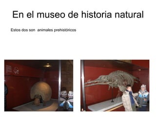 En el museo de historia natural Estos dos son  animales prehistóricos  