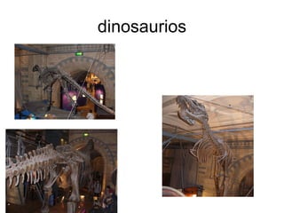 dinosaurios 