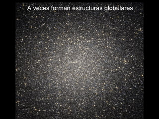 A veces forman estructuras globulares 