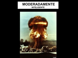 MODERADAMENTE  INTELIGENTE 