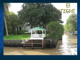 El TIGRE