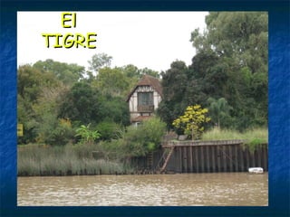 El TIGRE