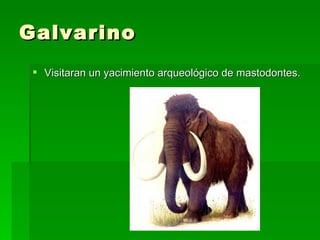 Galvarino
  Visitaran un yacimiento arqueológico de mastodontes.
 