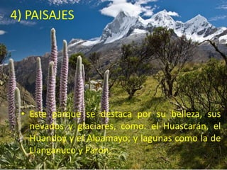4) PAISAJES 
• Este parque se destaca por su belleza, sus 
nevados y glaciares, como: el Huascarán, el 
Huandoy y el Alpamayo; y lagunas como la de 
Llanganuco y Parón. 
 