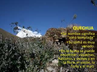 QUECHUA 
• Su nombre significa 
“zona templada” 
• Su clima es muy 
variado. 
• En la fauna se puede 
encontrar: vizcachas, 
halcones y ovinos y en 
la flora: el yacón, la 
ñuña y el maíz. 
 