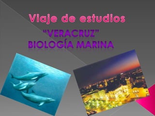 Viaje de estudios “Veracruz” Biología marina 