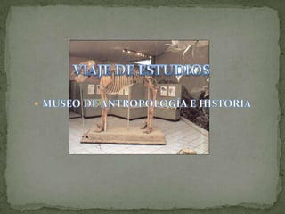 VIAJE DE ESTUDIOS  MUSEO DE ANTROPOLOGÍA E HISTORIA   