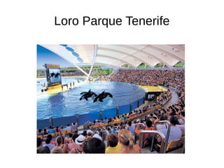 Loro Parque Tenerife
 