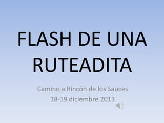 FLASH DE UNA
RUTEADITA
Camino a Rincón de los Sauces
18-19 diciembre 2013

 