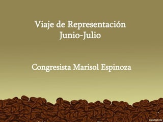 Viaje de Representación
       Junio-Julio


Congresista Marisol Espinoza
 