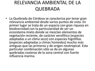 RELEVANCIA AMBIENTAL DE LA
             QUEBRADA
• La Quebrada de Córdova se caracteriza por tener gran
  relevancia ambiental desde varios puntos de vista. En
  primer lugar se trata de un espacio con gran riqueza en
  biodiversidad con la particularidad de ser un
  ecosistema mixto donde se mezclan elementos de
  vegetación reciente, de carácter xerofítico (especies
  adaptadas a un clima seco) con especies higrófilas
  (especies adaptadas a climas húmedos) mucho más
  antiguas que las primeras y de origen neotropical. Esta
  particular combinación sólo se da en algunas
  quebradas costeras de la zona central con fuerte
  influencia marina.
 