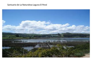 Santuario de La Naturaleza Laguna El Peral
 