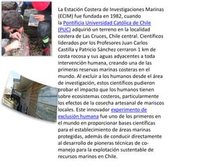 La Estación Costera de Investigaciones Marinas
(ECIM) fue fundada en 1982, cuando
la Pontificia Universidad Católica de Chile
(PUC) adquirió un terreno en la localidad
costera de Las Cruces, Chile central. Científicos
liderados por los Profesores Juan Carlos
Castilla y Patricio Sánchez cerraron 1 km de
costa rocosa y sus aguas adyacentes a toda
intervención humana, creando una de las
primeras reservas marinas costeras en el
mundo. Al excluir a los humanos desde el área
de investigación, estos científicos pudieron
probar el impacto que los humanos tienen
sobre ecosistemas costeros, particularmente
los efectos de la cosecha artesanal de mariscos
locales. Este innovador experimento de
exclusión humana fue uno de los primeros en
el mundo en proporcionar bases científicas
para el establecimiento de áreas marinas
protegidas, además de conducir directamente
al desarrollo de pioneras técnicas de co-
manejo para la explotación sustentable de
recursos marinos en Chile.
 