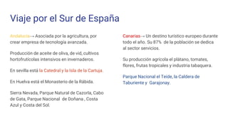 Viaje por el Sur de España
Andalucía→ Asociada por la agricultura, por
crear empresa de tecnología avanzada.
Producción de aceite de oliva, de vid, cultivos
hortofrutícolas intensivos en invernaderos.
En sevilla está la Catedral y la Isla de la Cartuja.
En Huelva está el Monasterio de la Rábida.
Sierra Nevada, Parque Natural de Cazorla, Cabo
de Gata, Parque Nacional de Doñana , Costa
Azul y Costa del Sol.
Canarias→ Un destino turístico europeo durante
todo el año. Su 87% de la población se dedica
al sector servicios.
Su producción agrícola el plátano, tomates,
flores, frutas tropicales y industria tabaquera.
Parque Nacional el Teide, la Caldera de
Taburiente y Garajonay.
 