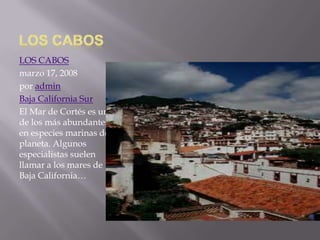 LOS CABOS
marzo 17, 2008
por admin
Baja California Sur
El Mar de Cortés es uno
de los más abundantes
en especies marinas del
planeta. Algunos
especialistas suelen
llamar a los mares de
Baja California…

 