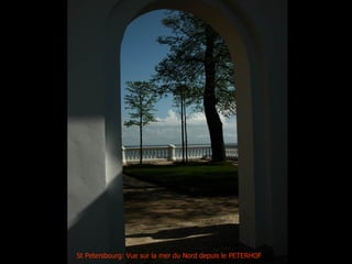 St Petersbourg: Vue sur la mer du Nord depuis le PETERHOF
 