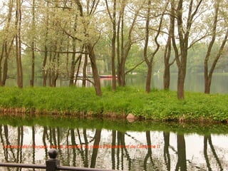 Tsarskoé sélo: Paysage dans la propriété du palais d’Elisabeth et de Catherine II
 
