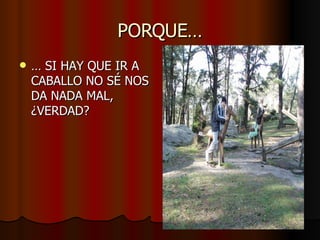 PORQUE… …  SI HAY QUE IR A CABALLO NO SÉ NOS DA NADA MAL, ¿VERDAD? 