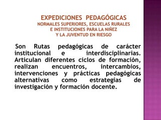 EXPEDICIONES  PEDAGÓGICASNORMALES SUPERIORES, ESCUELAS RURALESE INSTITUCIONES PARA LA NIÑEZ Y LA JUVENTUD EN RIESGOSon Rutas pedagógicas de carácter institucional e  interdisciplinarias. Articulan diferentes ciclos de formación, realizan encuentros, intercambios, intervenciones y prácticas pedagógicas alternativas como estrategias de investigación y formación docente. 