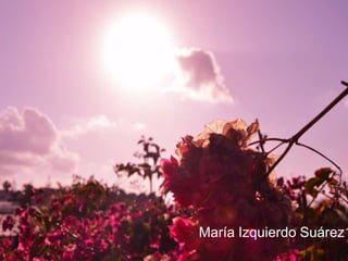 María Izquierdo Suárez
 