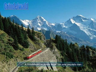 A Grindelwald se puede llegar con este pequeño tren. Grindelwald 