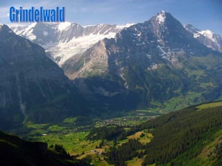 Grindelwald 