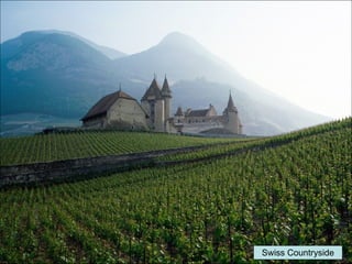 Swiss Countryside 