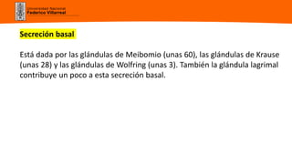 Universidad Nacional
Federico Villarreal
Secreción basal
Está dada por las glándulas de Meibomio (unas 60), las glándulas de Krause
(unas 28) y las glándulas de Wolfring (unas 3). También la glándula lagrimal
contribuye un poco a esta secreción basal.
 