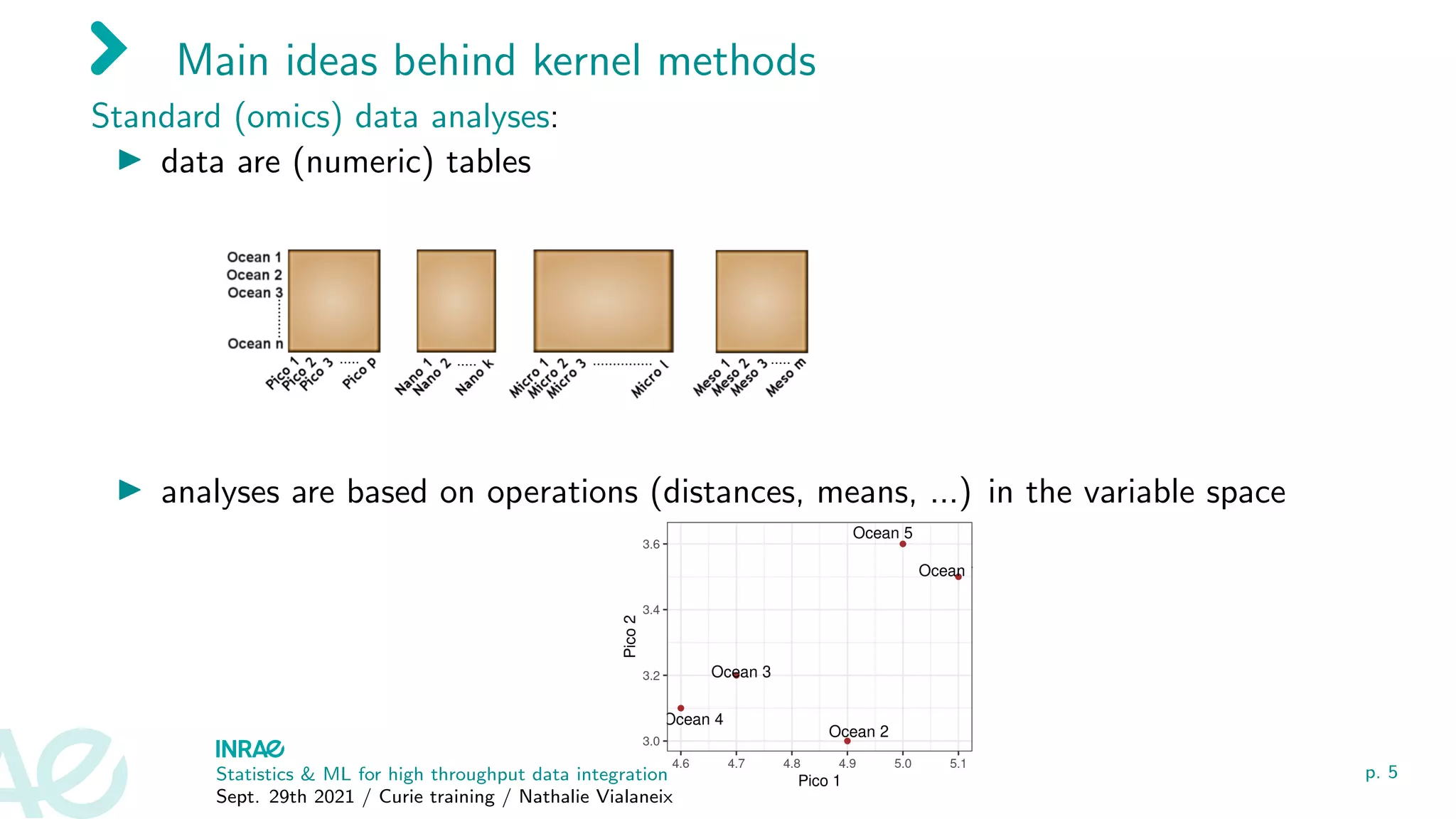 Main ideas behind kernel methods
Standard (omics) data analyses:
I data are (numeric) tables
I analyses are based on operations (distances, means, ...) in the variable space
Statistics & ML for high throughput data integration
Sept. 29th 2021 / Curie training / Nathalie Vialaneix
p. 5
 