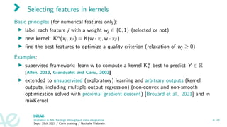 Selecting features in kernels
Basic principles (for numerical features only):
I label each feature j with a weight wj ∈ {0, 1} (selected or not)
I new kernel: Kw(xi , xi0 ) = K(w · xi , w · xi0 )
I find the best features to optimize a quality criterion (relaxation of wj ≥ 0)
Examples:
I supervised framework: learn w to compute a kernel Kw
x best to predict Y ∈ R
[Allen, 2013, Grandvalet and Canu, 2002]
I extended to unsupervised (exploratory) learning and arbitrary outputs (kernel
outputs, including multiple output regression) (non-convex and non-smooth
optimization solved with proximal gradient descent) [Brouard et al., 2021] and in
mixKernel
Statistics  ML for high throughput data integration
Sept. 29th 2021 / Curie training / Nathalie Vialaneix
p. 23
 