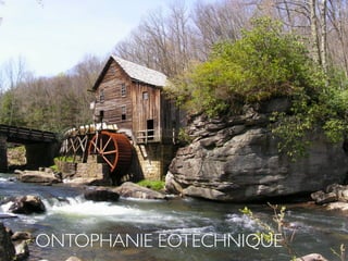 ONTOPHANIE ÉOTECHNIQUE
 