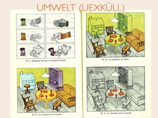 UMWELT (UEXKÜLL)
 