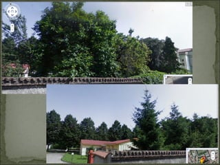 Via Magenta - Artigianelli