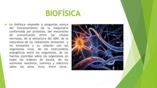 BIOFÍSICA
 La biofísica responde a preguntas acerca
del funcionamiento de la maquinaria
conformada por proteínas, del mecanismo
de comunicación entre las células
nerviosas, de la estructura del ADN, de la
naturaleza de las radiaciones ionizantes y
no ionizantes y su relación con los
organismos vivos, de los intercambios
energéticos entre los organismos, de las
fuerzas ejercidas sobre los organismos en
todos los órdenes de escala, de los
estímulos mecánico, lumínico y eléctrico
sobre los seres vivos, entre otras.
 