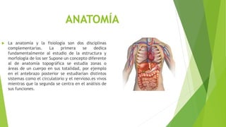 ANATOMÍA
 La anatomía y la fisiología son dos disciplinas
complementarias. La primera se dedica
fundamentalmente al estudio de la estructura y
morfología de los ser Supone un concepto diferente
al de anatomía topográfica se estudia zonas o
áreas de un cuerpo en sus totalidad, por ejemplo
en el antebrazo posterior se estudiarían distintos
sistemas como el circulatorio y el nervioso.es vivos
mientras que la segunda se centra en el análisis de
sus funciones.
 