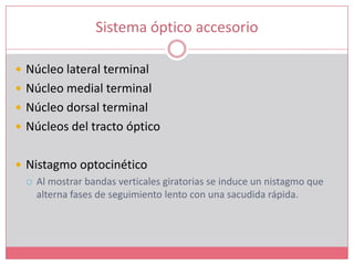 Sistema óptico accesorioNúcleo lateral terminalNúcleo medial terminal Núcleo dorsal terminalNúcleos del tracto ópticoNistagmooptocinéticoAl mostrar bandas verticales giratorias se induce un nistagmo que alterna fases de seguimiento lento con una sacudida rápida.