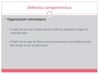 Defectos campimétricosOrganización retinotópicaEl daño de las vías visuales genera defectos específicos según el nivel afectado.El daño de la capa de fibras nerviosas produce una pérdida parcial del campo visual, ej: glaucoma