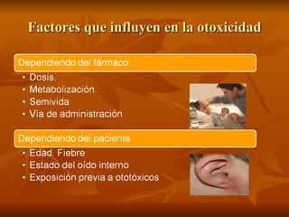 Factores que influyen en la otoxicidad 