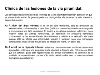 Haz córtico-nuclearSegunda neurona:Sigue descendiendo y emitiendo haces que cruzan la línea media llegando a los núcleos del IV, V, VI, IX, X, XI y XII  pares craneales .HAZ CORTICO NUCLEARJesús A. Custodio Marroquín
