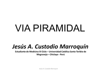 VIA PIRAMIDAL Jesús A. Custodio Marroquín Jesús A. Custodio Marroquín Estudiante de Medicina VI Ciclo – Universidad Católica Santo Toribio de Mogrovejo – Chiclayo - Perú 