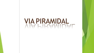 VIA PIRAMIDAL
 