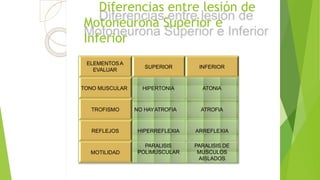 ELEMENTOSA
EVALUAR
SUPERIOR INFERIOR
TONO MUSCULAR HIPERTONIA ATONIA
TROFISMO NO HAYATROFIA ATROFIA
REFLEJOS HIPERREFLEXIA ARREFLEXIA
MOTILIDAD
PARALISIS
POLIMUSCULAR
PARALISIS DE
MUSCULOS
AISLADOS
Diferencias entre lesión de
Motoneurona Superior e
Inferior
 