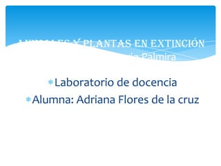 Laboratorio de docencia
Alumna: Adriana Flores de la cruz
Animales y Plantas en Extinción
Centro Universitario Palmira
 