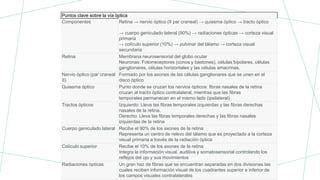 Puntos clave sobre la vía óptica
Componentes Retina → nervio óptico (II par craneal) → quiasma óptico → tracto óptico
→ cuerpo geniculado lateral (90%) → radiaciones ópticas → corteza visual
primaria
→ colículo superior (10%) → pulvinar del tálamo → corteza visual
secundaria
Retina Membrana neurosensorial del globo ocular
Neuronas: Fotorreceptores (conos y bastones), células bipolares, células
ganglionares, células horizontales y las células amacrinas.
Nervio óptico (par craneal
II)
Formado por los axones de las células ganglionares que se unen en el
disco óptico
Quiasma óptico Punto donde se cruzan los nervios ópticos: fibras nasales de la retina
cruzan al tracto óptico contralateral, mientras que las fibras
temporales permanecen en el mismo lado (ipsilateral)
Tractos ópticos Izquierdo: Lleva las fibras temporales izquierdas y las fibras derechas
nasales de la retina.
Derecho: Lleva las fibras temporales derechas y las fibras nasales
izquierdas de la retina
Cuerpo geniculado lateral Recibe el 90% de los axones de la retina
Representa un centro de relevo del tálamo que es proyectado a la corteza
visual primaria a través de la radiación óptica
Colículo superior Recibe el 10% de los axones de la retina
Integra la información visual, auditiva y somatosensorial controlando los
reflejos del ojo y sus movimientos
Radiaciones ópticas Un gran haz de fibras que se encuentran separadas en dos divisiones las
cuales reciben información visual de los cuadrantes superior e inferior de
los campos visuales contralaterales
 