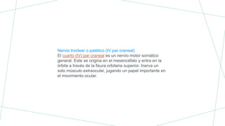 Nervio troclear o patético (IV par craneal)
El cuarto (IV) par craneal es un nervio motor somático
general. Este se origina en el mesencéfalo y entra en la
órbita a través de la fisura orbitaria superior. Inerva un
solo músculo extraocular, jugando un papel importante en
el movimiento ocular.
 