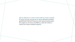 Nervio abducens o motor ocular externo (VI par craneal)
El sexto (VI) par craneal es un nervio eferente somático
general que inerva el músculo recto lateral (extraocular).
Se origina en el tronco encefálico y sale del cráneo a
través de la fisura orbitaria superior.
 